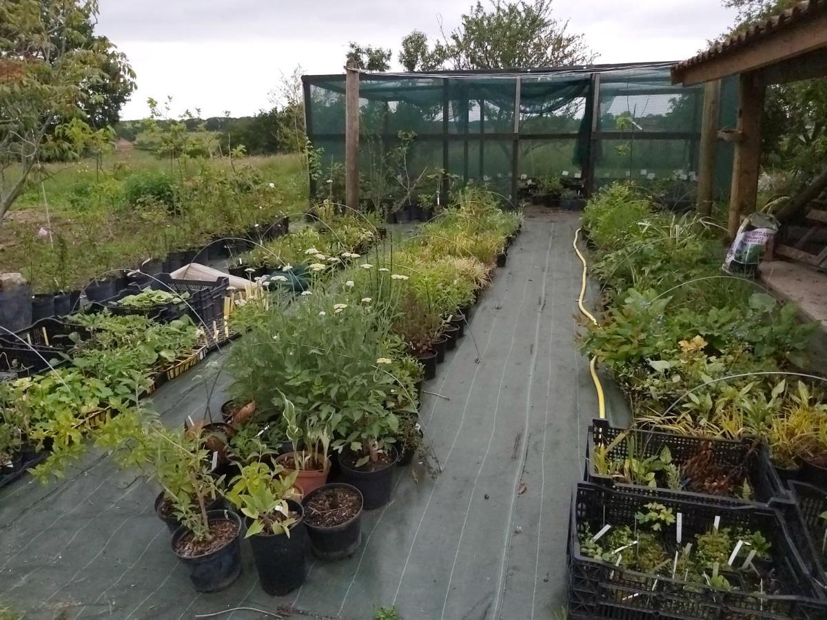 Du Jardin Du Bout Du Ciel *