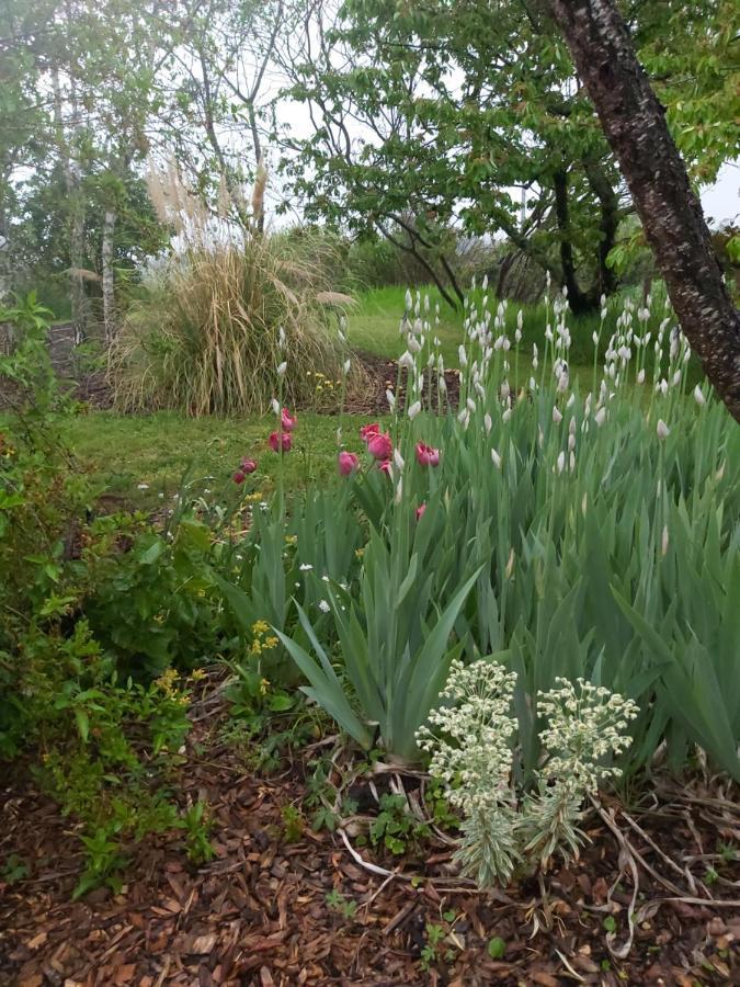 Du Jardin Du Bout Du Ciel